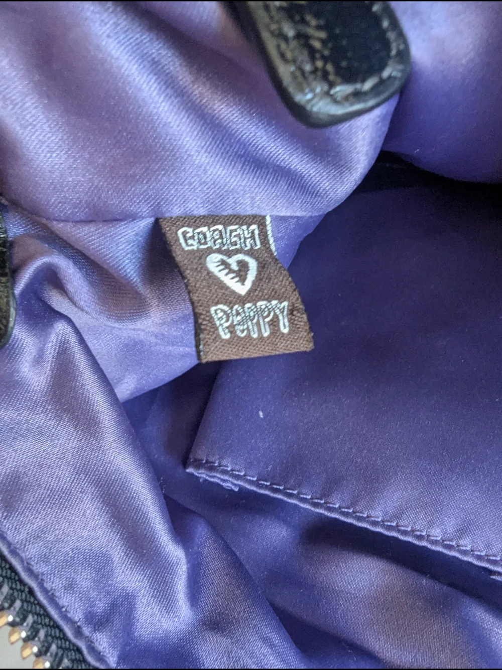 Coach poppy signature